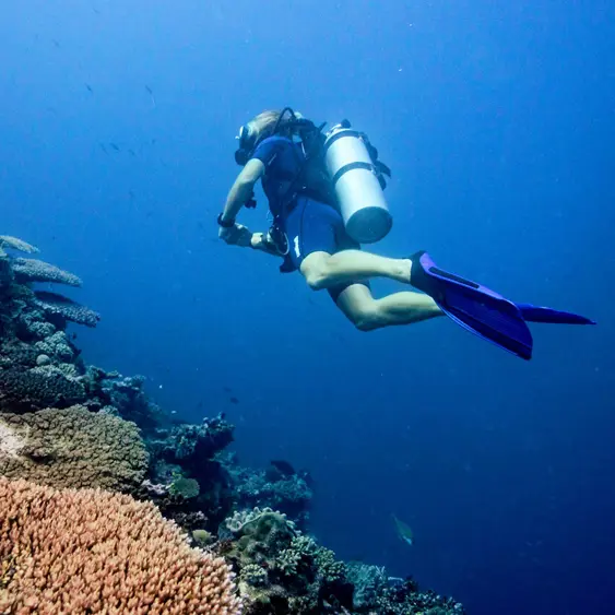 Hannah Diving Low Res
