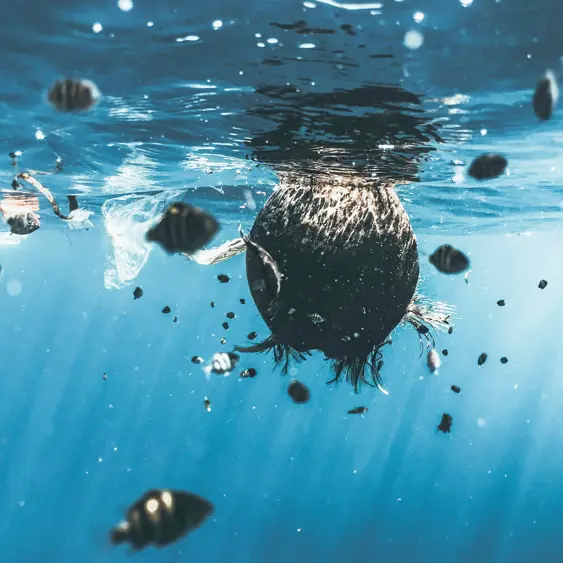Responsibility Plasatics Naja Bertolt Jensen Jk1escc5i I Unsplash (1)